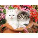 2 Lovely Kitten Diamond Painting Diamond Art Kit