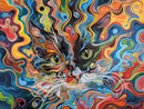 Psychedelic Swirl Cat