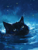 Starry Night Black Cat