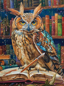 The Enchanted Scribe