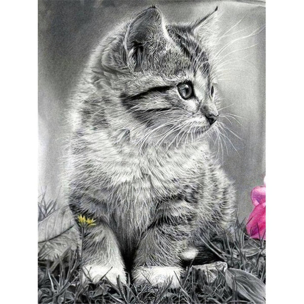 Blind Cat Diamond Painting Diamond Art Kit