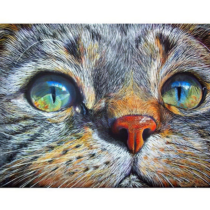 Cat Diamond Painting Diamond Art Kit