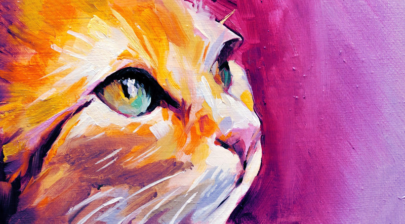 Cat'S Painting Diamond Painting Diamond Art Kit