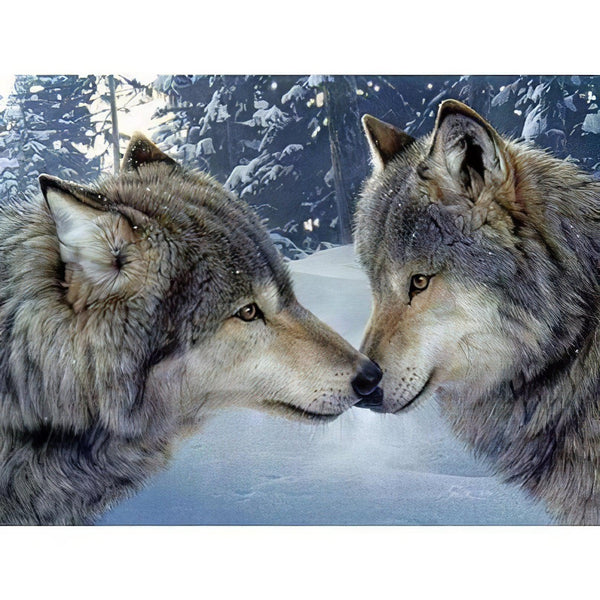 Couple De Loups Amoureux Diamond Painting Diamond Art Kit