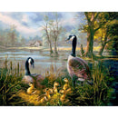 Ducks Diamond Painting Diamond Art Kit