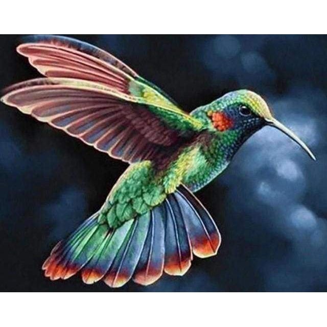 Hummingbird Diamond Painting Diamond Art Kit