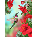 Hummingbird Diamond Painting Diamond Art Kit