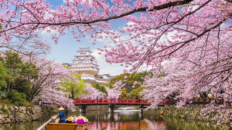 Japanese Cherry Blossom on a River Diamond Painting Diamond Art Kit