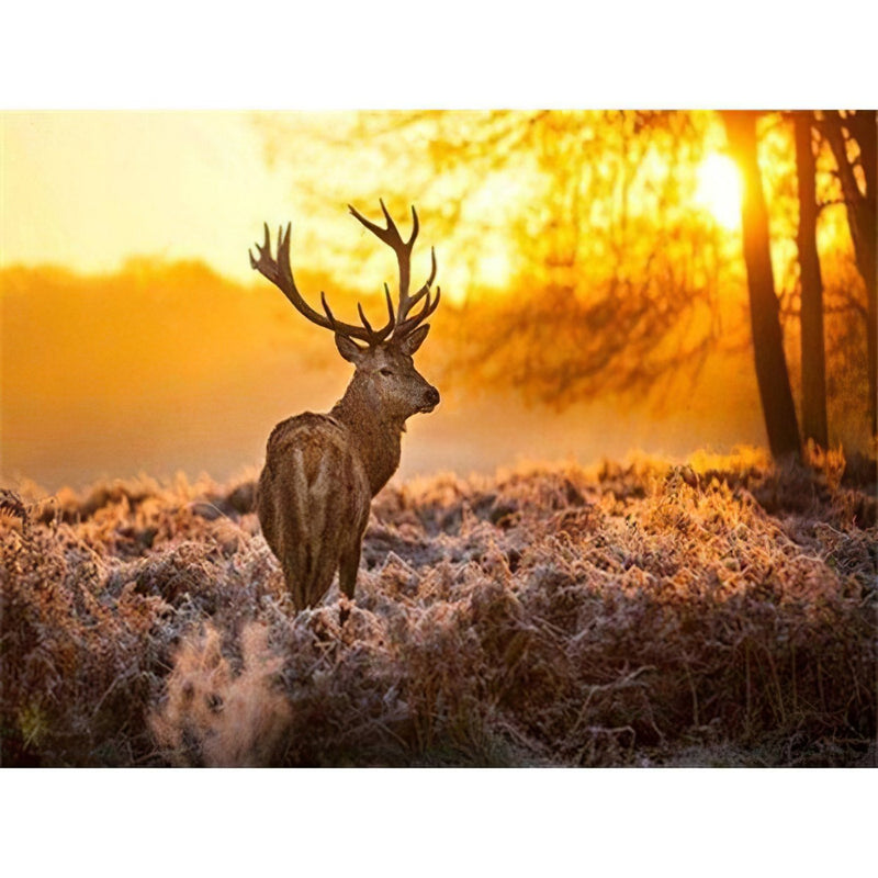 Lonely Deer And Sunshine Diamond Painting Diamond Art Kit