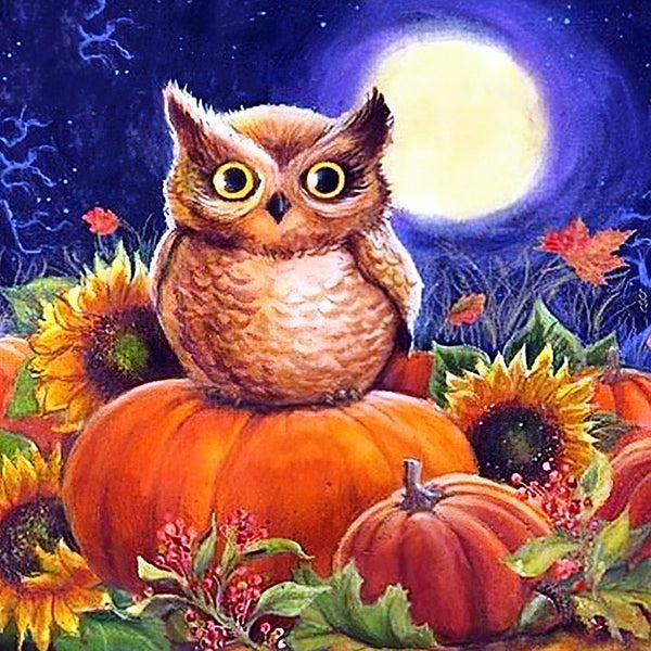 Midnight Owl Diamond Painting Diamond Art Kit