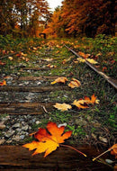 Old Forest Train Line Diamond Painting Diamond Art Kit