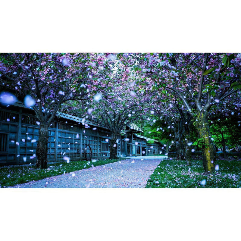 Road Of Cherry Trees Diamond Painting Diamond Art Kit