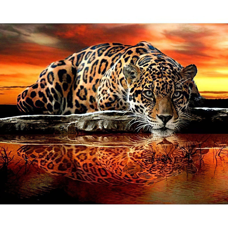 Tiger And Reflection Diamond Painting Diamond Art Kit