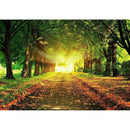 Tree Road Diamond Painting Diamond Art Kit