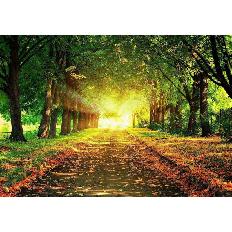 Tree Road Diamond Painting Diamond Art Kit