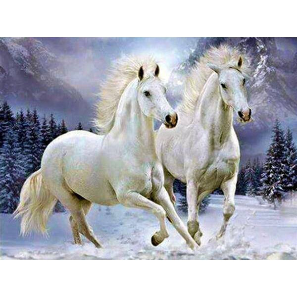 Two Beautiful Horse Diamond Painting Diamond Art Kit